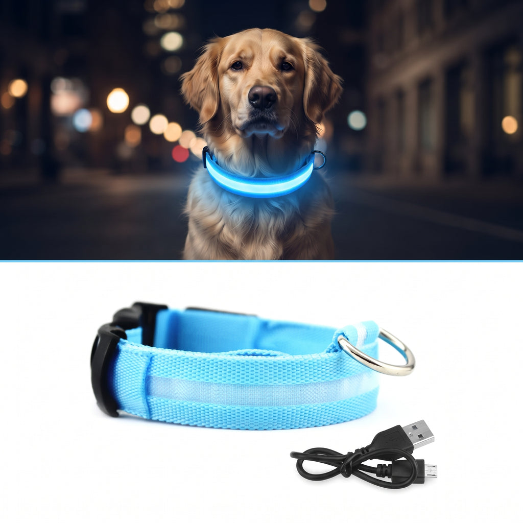 Fetch Rechargeable LED Dog Collar
