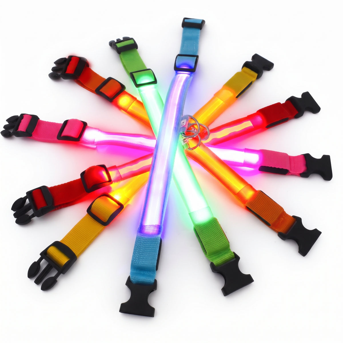 Fetch Rechargeable LED Dog Collar