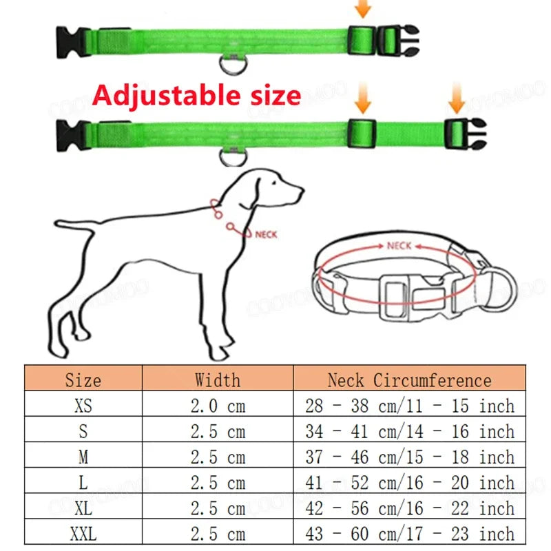 Fetch Rechargeable LED Dog Collar